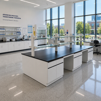 Banc de laboratoire Central Island avec armoire en acier, plan de travail en résine époxy et étagère supérieure pour réactifs, pour laboratoire de recherche universitaire