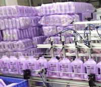 VEVE marque Vente en gros Offre spéciale Prix d'usine Liquide pour machine à laver en vrac Lessive liquide personnalisée pour lavage en machine