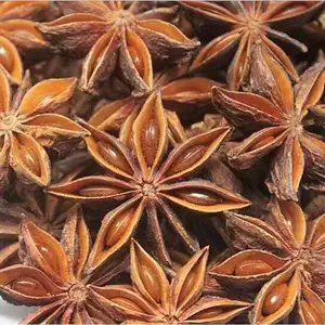 Anise Extract Powder Good Quality New Crop Star Organi'c Anise Spice Dry Star AD Block Baked Single Herbs Spices