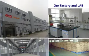 High Quality Food Grade Lactase Enzyme Powder Wholesale Manufacturer's Food Additives