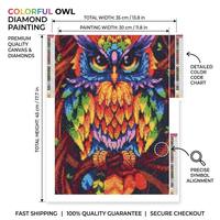Kit de Peinture Diamant 5D DIY de Haute Qualité pour Adultes et Enfants, Motif Hibou Coloré, Broderie Diamant Complète, Mosaïque Point de Croix pour Décoration Intérieure