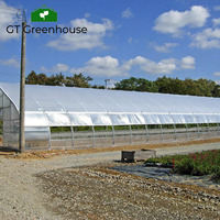 Qualité Hoophouse pour la Culture De Semences