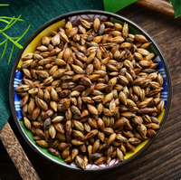 Thé aux herbes d'orge torréfiée naturelle de qualité supérieure, sain, sans caféine, sans sucre, 30 sachets, marque privée, approvisionnement en vrac, hydratation quotidienne
