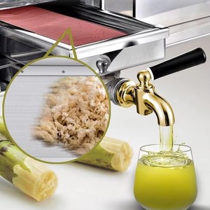 Nouvel Arrivage : Machine à Jus de Canne à Sucre Électrique – Facile à Nettoyer, Prise en Charge de la Personnalisation - Product Image 6