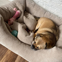 Hundebett mit Kundenspezifischem Logo & Zubehör, Atmungsaktives, Weiches und Gemütliches, Maschinenwaschbares Katzen- und Hundesofabett für Haustiere