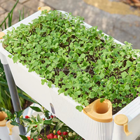 Chariot de plantation multi-niveaux en plastique PP écologique et durable, auto-arrosant, gain de place, pour jardin vertical intérieur/extérieur, petit format