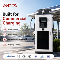 Systèmes d'énergie solaire hybrides Amppal 82 kW, solutions pour véhicules électriques, nouvelles énergies, stations de recharge rapide pour véhicules électriques au sol, protection IP54