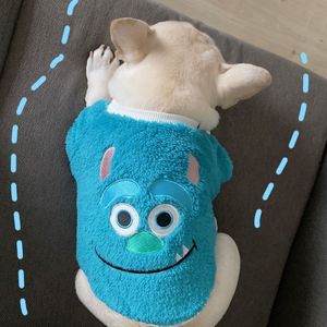 Ropa para Cachorros <span class=keywords><strong>Bulldog</strong></span> Francés, Ropa Abrigada y Bonita para Mascotas en Invierno - Product Image 2