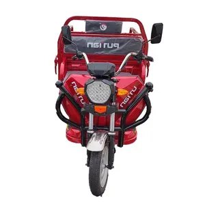 Triciclo stile Morden/carico moto a quattro ruote Benne filtro aria pneumatico electrocycle Cargo per triciclo elettrico a tre ruote