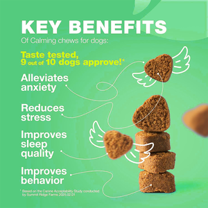 OEM canapa mastica morbida calmante per cani-sollievo dall'ansia melatonina valeriana radice camomilla vitamina <span class=keywords><strong>B</strong></span> complesso | Rapido assorbimento 3g - Product Image 2