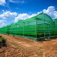 Filet d'ombrage agricole vert en HDPE, taux d'ombrage 70%, anti-UV, pour serre, verger, ferme, protection des cultures
