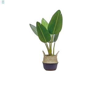 Bananiers et palmiers artificiels de haute qualité en PE, grande taille, résistants à l'eau, durables, pour décoration intérieure et extérieure, vente en gros - Product Image 4