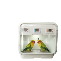 Couveuse pour jeunes oiseaux à température constante, spécifiquement conçue pour les calopsittes, pour l'élevage de poussins par air chaud en hiver, adaptée aux petits oiseaux semi-plumeux adultes