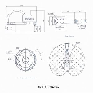 BRTIRSC0603A BORUNTE Robot Industrial de Brazo Largo de 600 mm, Robot Articulado Inteligente Automático de 4 Ejes - Product Image 4
