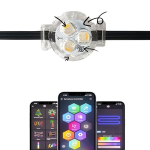 ไฟคริสต์มาสกลางแจ้งแบบกันน้ำ IP68 สำหรับตลาดสหรัฐอเมริกาและแคนาดา ขนาด 30 มม. ใช้ไฟ 12V RGB พร้อมการรับประกัน 5 ปี - Product Image 1