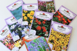 Tùy chỉnh phân hủy sinh học <span class=keywords><strong>Kraft</strong></span> trang trại cây hoa Trái Cây Rau Vườn hạt giống gói Nắp kéo hạt giống nhỏ bao bì phong bì - Product Image 2