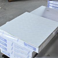 Venta al por Mayor de Placas de Techo de PVC y Yeso Personalizables de 595x595 mm, con Revestimiento de Lámina de Aluminio, Resistentes al Fuego y a la Humedad, para Construcción