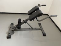 ZYFIT Machine d'extension de dossier de chaise romaine, banc avec réglage double de la hauteur d'angle, banc d'exercice arrière pour salle de sport à domicile