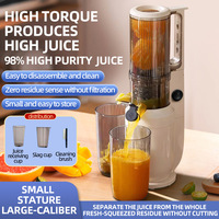 Grote capaciteit slowjuicer, automatische pulp-sap scheiding, koudgeperste fruit- en groente-extractor, draagbaar, makkelijk schoon te maken