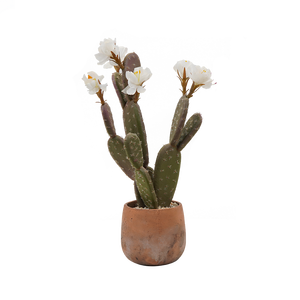Commercio all'ingrosso di piccoli <span class=keywords><strong>cactus</strong></span> <span class=keywords><strong>artificiali</strong></span> con fiori bianchi in plastica in vaso succulenta pianta da tavola per interni esterni scrivania arredamento - Product Image 1