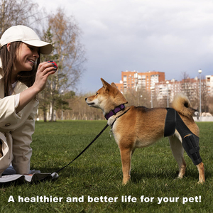 Attelle de genou pour chien de compagnie pour ACL déchiré jambe arrière sangles de chat réglables protecteur de blessure chien genouillère soutien pour jambe arrière et avant - Product Image 4