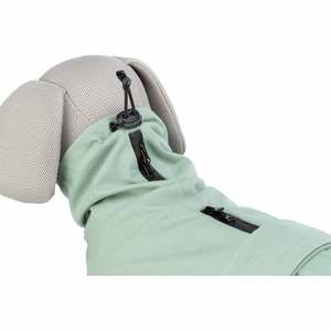 Impermeable para Mascotas Estilo Urbano Dublin, Color Verde Salvia, Talla S 40 cm - Product Image 6