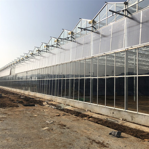 Smart Agricultural Multi-Span Venlo Tempered <strong>Glass</strong> <strong>Greenhouse</strong> with Solar Photovoltaic <strong>Panels</strong> and Steel Frame for Plant Growth - Product Image 2