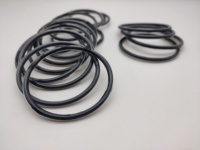 Joint torique encapsulé FEP PFA PTFE avec noyau en FKM Silicone EPDM enduit