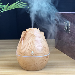 Precio al por mayor USB Essential Aroma Humidificador Difusor Rose Design Electric Car Aroma Difusor - Product Image 3