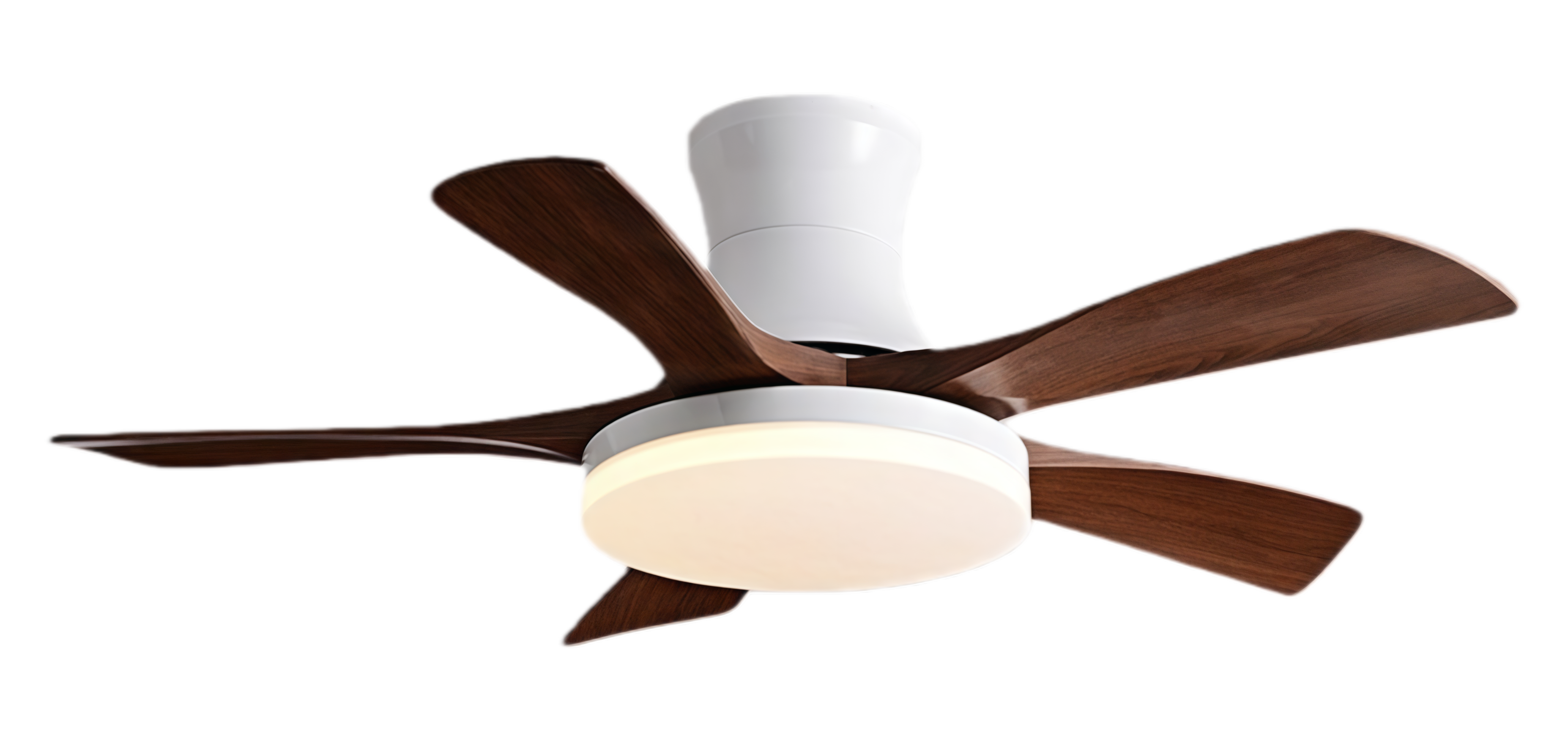 วอลนัทขาว