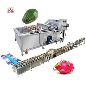 Avocado Wash and Sort Salad Vegetable Dry Machine Dragon Fruit Washer Grader