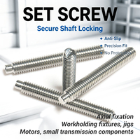 OEM Custom Stainless Steel 304 DIN 554 Precision Locating M3-M12 Slotted Dog Point Set Screw for Shaft and Gear Positioning
