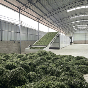 Machine de séchage à bande maillée à vitesse réglable, déshydrateur à air chaud continu pour le séchage de produits agricoles de grande capacité - Product Image 1
