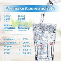 BRINGPURE Élément de filtre à eau au charbon actif de 6 mois avec garantie d'un an pour un usage domestique Matériel plastique