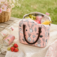 Sac isotherme pliable réutilisable pour pique-nique, vente directe d'usine, pour adultes, enfants, bureau, extérieur