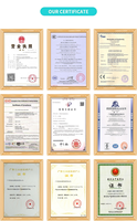 Voedseldroger, pruimen-droger, groentedroger, machine, ondersteuning voor aangepaste diensten, met CE-certificering