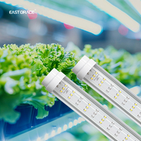 IP65 étanche spectre complet T12 LED intégrée élèvent le Tube de lumière 4ft LM301H EVO pour la culture hydroponique de fraise à effet de serre