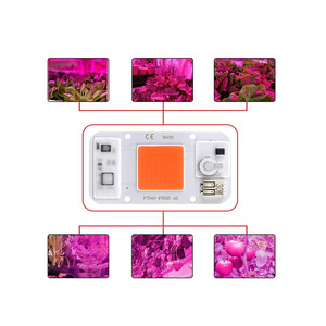 Ac110v 20W 30W <span class=keywords><strong>50W</strong></span> <span class=keywords><strong>COB</strong></span> nguồn ánh sáng tăng trưởng thực vật quang phổ đầy đủ dẫn đèn - Product Image 5