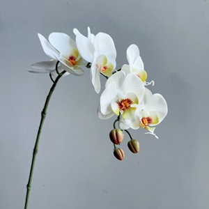 ดอกไม้ประดิษฐ์ขายส่ง 83 ซม. ทำด้วยมือจากยางลาเท็กซ์ กล้วยไม้ฟาแลนนอปซิส สำหรับตกแต่งบ้าน ปีใหม่ - Product Image 1