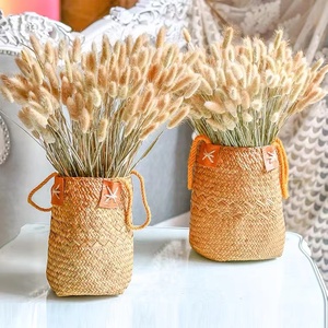 Flores secas de <span class=keywords><strong>HY</strong></span>-D9Material, ramos de hierba de cola de conejo, bolsa Opp, flores decorativas de Navidad y coronas de larga duración, 60 uds./<span class=keywords><strong>Bu</strong></span> - Product Image 1