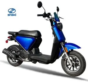 Çin Wuxi Sinski OEM 50CC 125CC 150CC moda en iyi fiyat benzinli gaz yakıt sistemleri motorlu Scooter motosiklet gaz Scooter