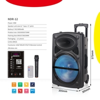 Altavoz de Karaoke NDR-12, Bafle Bluetooth, Haut-Parleur con Micrófono, Altavoz de Karaoke de 12 Pulgadas para Fiestas al Aire Libre con Micrófono y Bluetooth