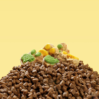 Yee Fabricant d'aliments pour chiens et chats Lyophilisé Gâteau de patte de chat Snacks pour chats Friandises Snacks Aliments secs