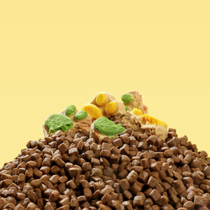 Yee köpek kedi maması üretici için dondurularak kurutulmuş organik Pet kedi pençe kek aperatifler kedi davranır aperatifler kuru gıda - Product Image 4