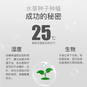 YEE Usine En Gros Plantes Aquatiques Fish Tank Aménagement Paysager Décoratif Aquarium Vivant Plantes Aquatiques Fraîches Graines - Product Image 4