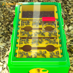 Vente en Gros : Ruches Mini en HDPE, Nouveaux Nids d'Abeilles pour l'Accouplement de Reines, Ruchettes à Vendre - Product Image 6