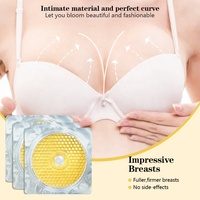 Masque en feuille pour les seins au collagène et or 24 carats, à base de plantes, marque privée, raffermissant, hydratant, liftant, pour l'agrandissement des seins, soin de la peau du buste, végétalien, OEM