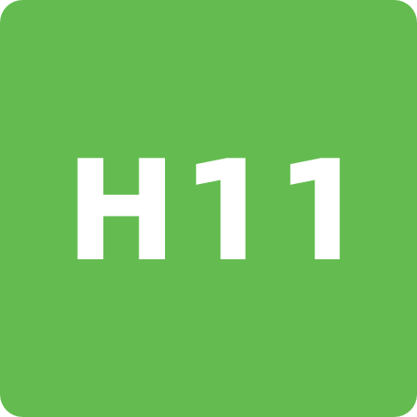 H11