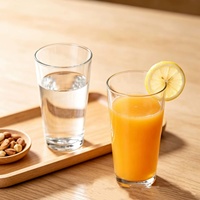 Verre à bière transparent multi-usage, gobelet réutilisable pour bière, boissons, eau, camping
