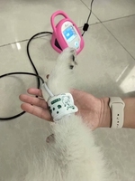 High Accuracy Portable Suntech Vet20 Veterinary Blood Pressure Monitor for Dogs Cats Pets Auto Inflation Deflation